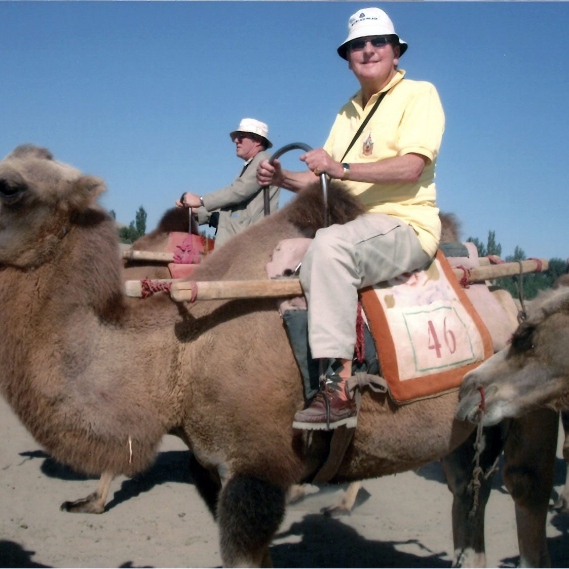 Riding Camels. 
